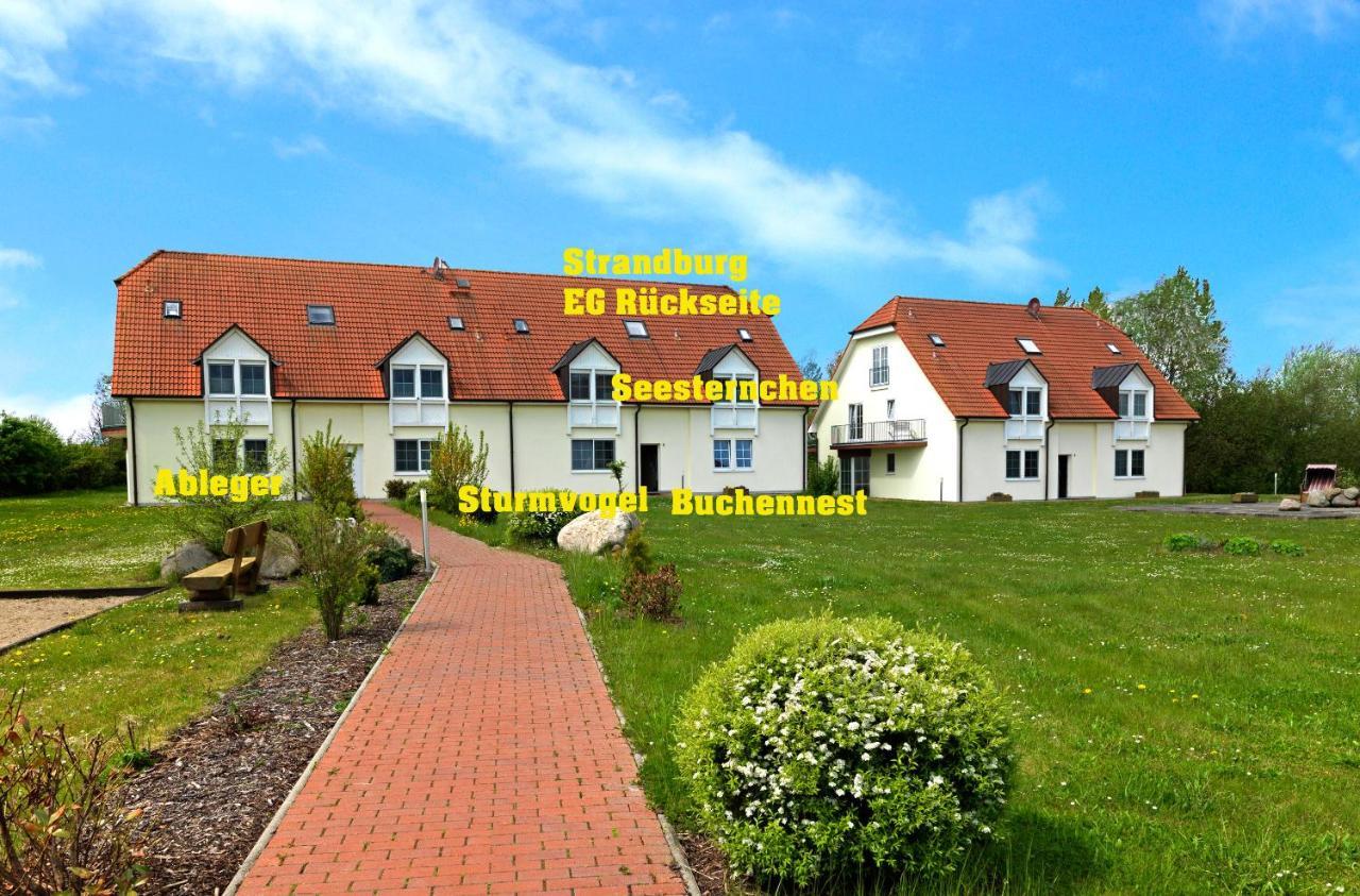 Apartament Gollwitzer Park Oase Wyspa Poel Zewnętrze zdjęcie
